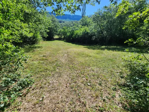 Pogled na zelenu livadu okruženu šumom i drvećem. - image 7