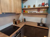 Izdavanje, jednosoban stan, 45m², Blok 9, Podgorica - image 9