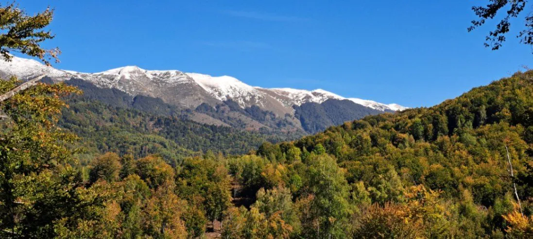 Prodaja, plac, 89208m², Padež, Kolašin