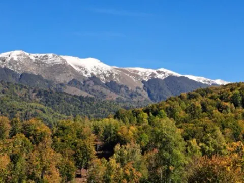 Prodaja, plac, 89208m², Padež, Kolašin - image 8