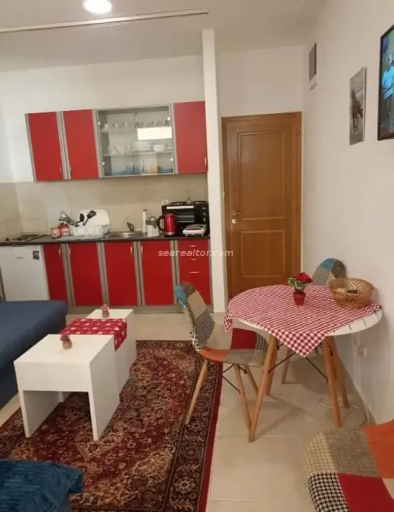 Rent, one bedroom apartment, 23m², Rozino, Budva