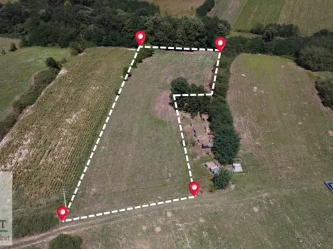 Sale, land lot, 5000m², Trlić, Ub - image 7