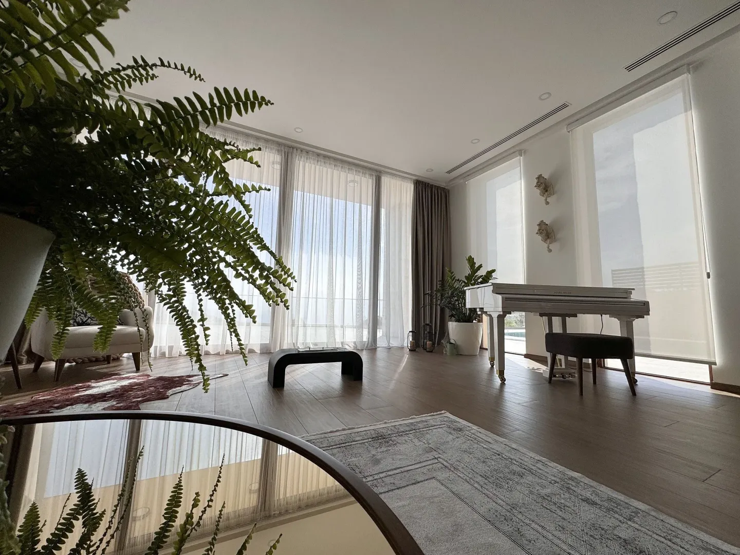 Living room with large windows, a white piano, and indoor plants.