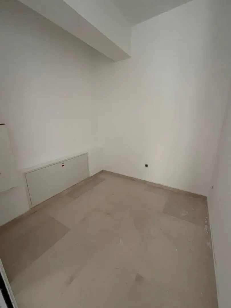 Rent, four bedroom apartment, 450m², Centar, Podgorica