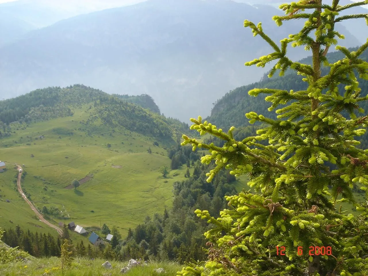 Prodaja, plac, 450000m², Centar, Žabljak