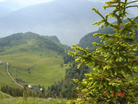 Prodaja, plac, 450000m², Centar, Žabljak - image 13