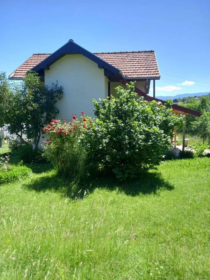 View of the yard and the exterior of the house with greenery.