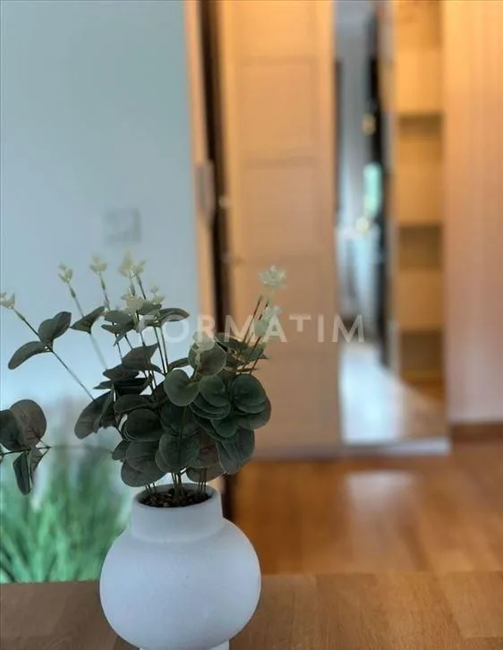 Prodaja, jednosoban stan, 29m², Cvetkova Pijaca, Zvezdara Sve Podlokacije