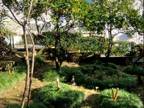 Prodaja, kuća, 75m², Herceg Novi, Crna Gora - image 7