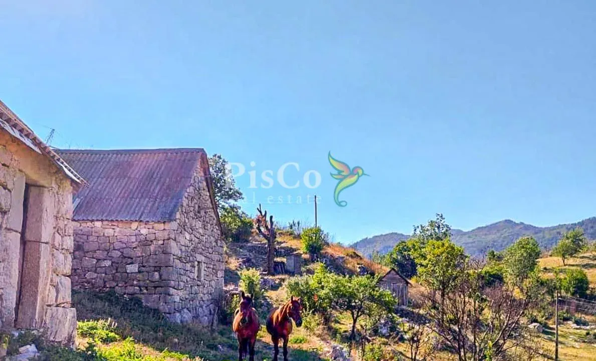 Sale, land lot, 480000m², Nikšić, Crna Gora