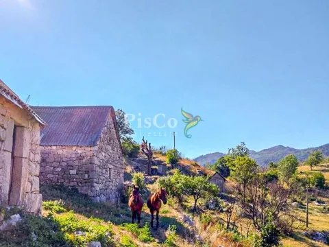 Sale, land lot, 480000m², Nikšić, Crna Gora - image 1