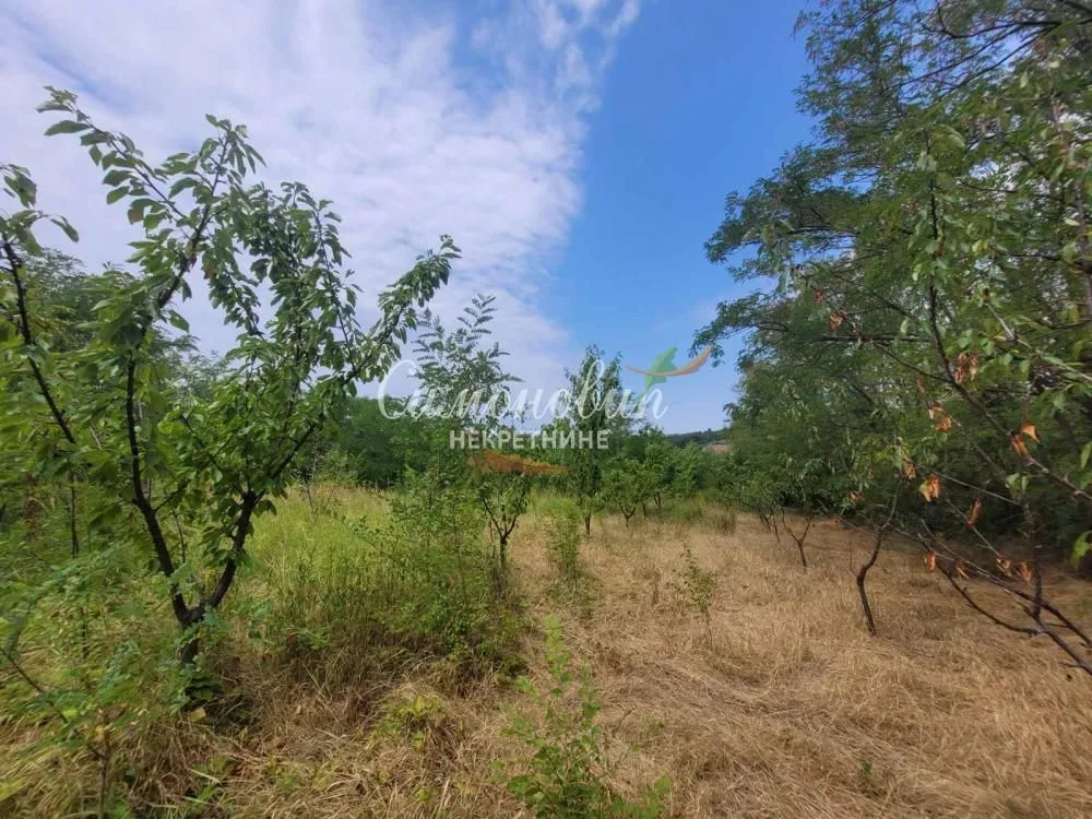 Prodaja, plac, 9700m², Begaljica, Grocka