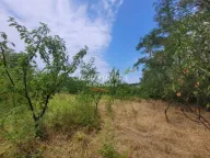 Prodaja, plac, Begaljica, Grocka - image 3