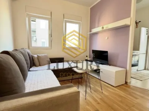 Rent, one bedroom apartment, 380m², Zabjelo, Podgorica - image 9