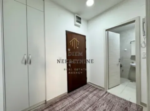 Izdavanje, jednosoban stan, 55m², Ljubović, Podgorica - image 7