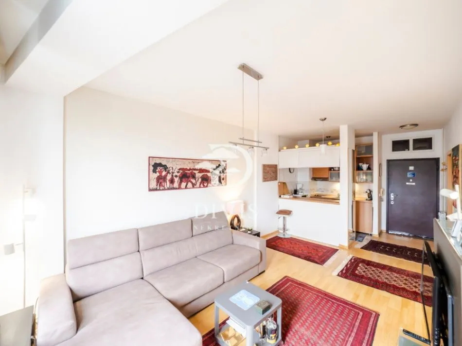 Prodaja, stan, 41m², Donji Dorćol, Dorćol Sve Podlokacije