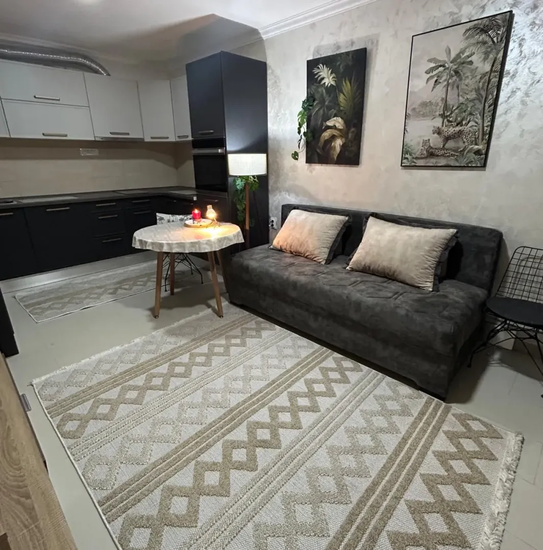 Rent, one bedroom apartment, 40m², Zlatica, Podgorica