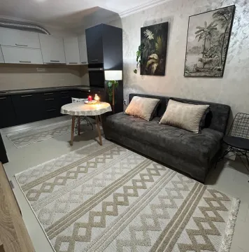 Rent, one bedroom apartment, 40m², Zlatica, Podgorica - image 3