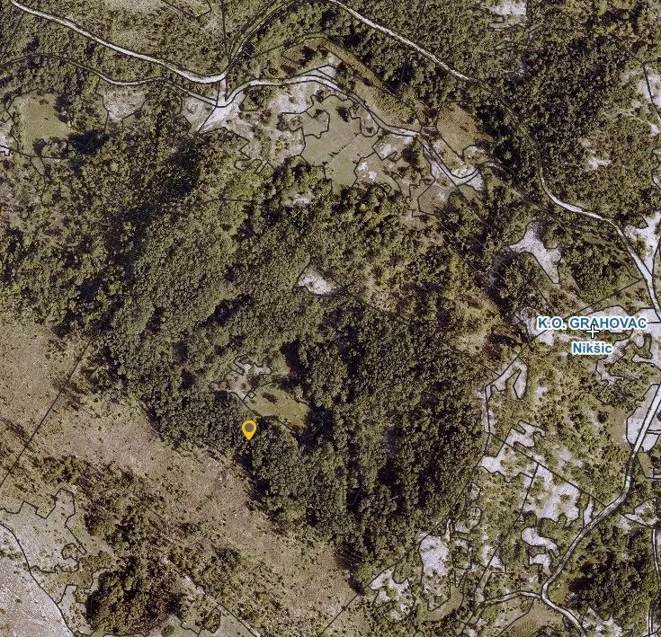 Prodaja, plac, 140339m², Grahovac, Nikšić