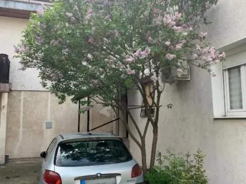 Sale, two bedroom apartment, 50m², Zemun Centar, Zemun Sve Podlokacije - image 9