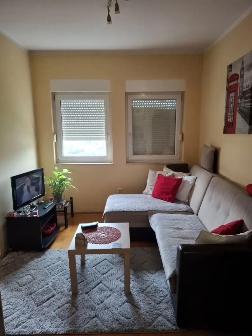 Bright living room with a corner sofa and a TV.