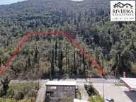 Sale, land lot, 2016m², Sutorina, Herceg Novi - image 4