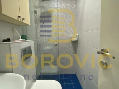 Rent, two bedroom apartment, 55m², Novi Beograd Sve Podlokacije, Beograd - image 11