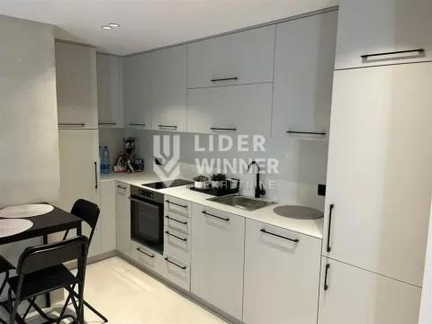 Izdavanje, kuća, 48m², Vračar Sve Podlokacije, Beograd - image 6