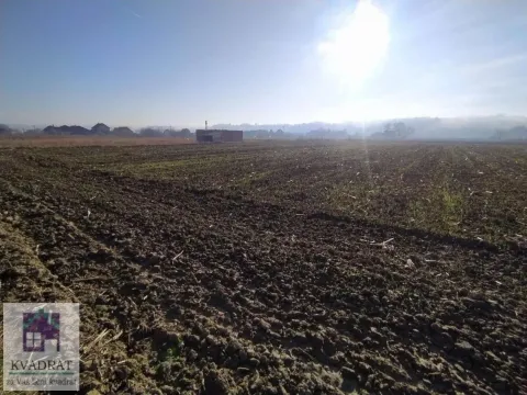 Prodaja, plac, 600m², Ub, Srbija - image 7