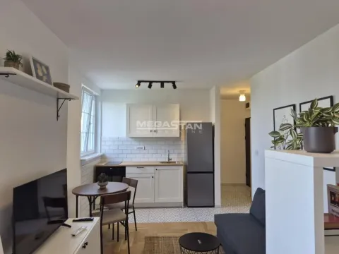 Rent, one bedroom apartment, 30m², Vračar Sve Podlokacije, Beograd - image 10