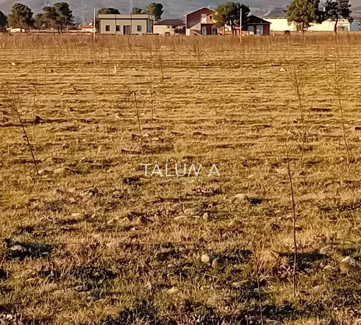 Prodaja, plac, 3000m², Donji Kokoti, Podgorica