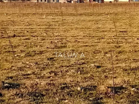 Prodaja, plac, 3000m², Donji Kokoti, Podgorica - image 2