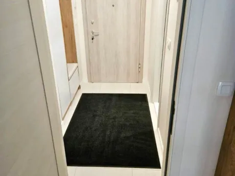 Izdavanje, jednosoban stan, 47m², Central Point, Podgorica - image 6