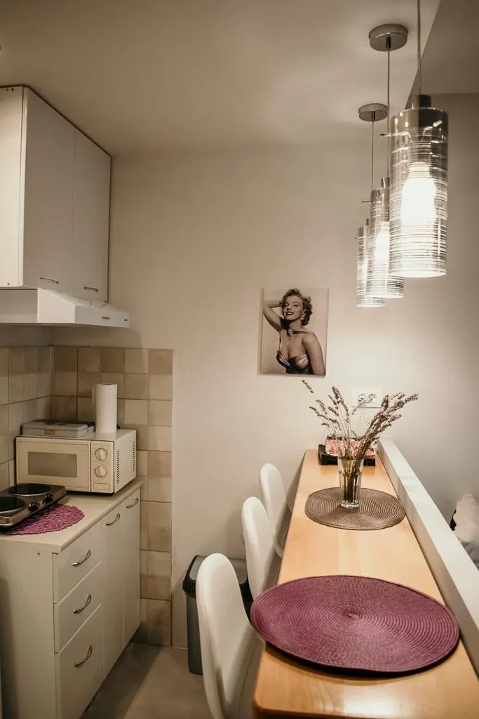 Izdavanje, garsonjera, 42m², Dubovica, Budva