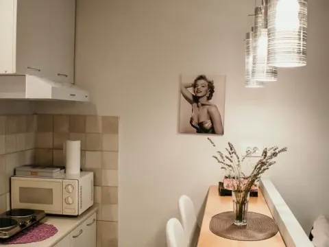 Izdavanje, garsonjera, 42m², Dubovica, Budva - image 3