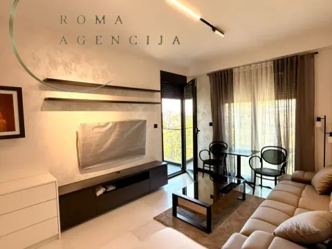 Rent, one bedroom apartment, 45m², Vezirov Most, Podgorica - image 3