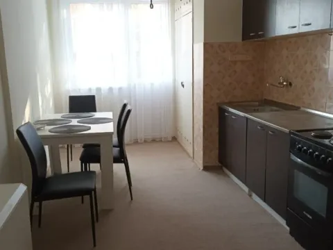 Izdavanje, dvosoban stan, 55m², Karaburma, Palilula Sve Podlokacije - image 6