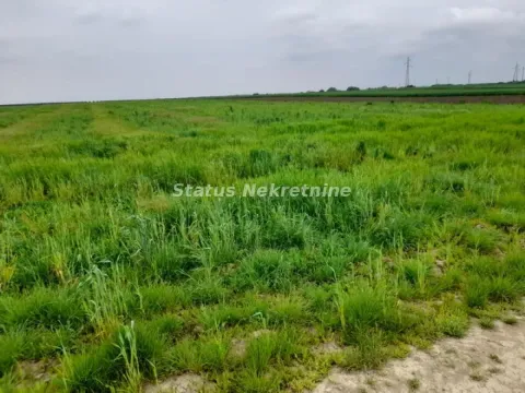 Pogled na prostrano zeleno zemljište obraslo travom. - image 7