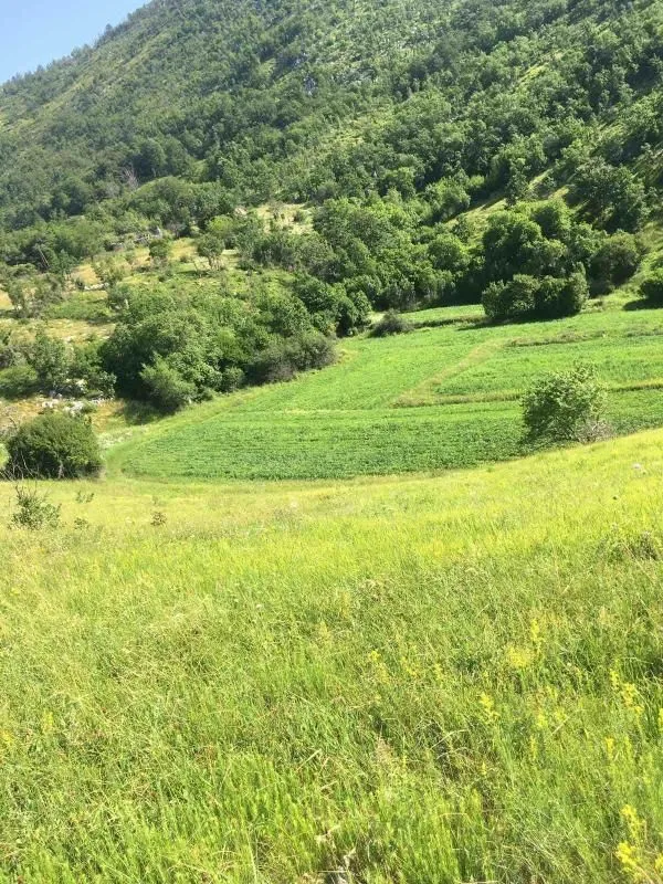 Prodaja, plac, 102000m², Danilovgrad, Crna Gora