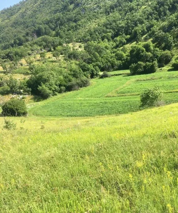 Sale, land lot, 102000m², Danilovgrad, Crna Gora