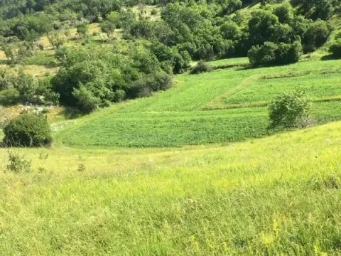 Prodaja, plac, 102000m², Danilovgrad, Crna Gora - image 1