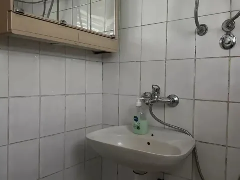 Prodaja, kuća, 40m², Pančevo, Srbija - image 12
