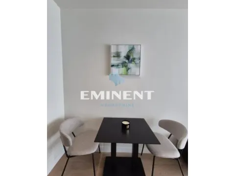 Rent, one bedroom apartment, 33m², Novi Beograd Blok 65, Novi Beograd Sve Podlokacije - image 3