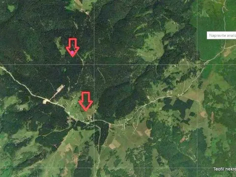 Prodaja, plac, 900m², Golija, Ivanjica - image 9