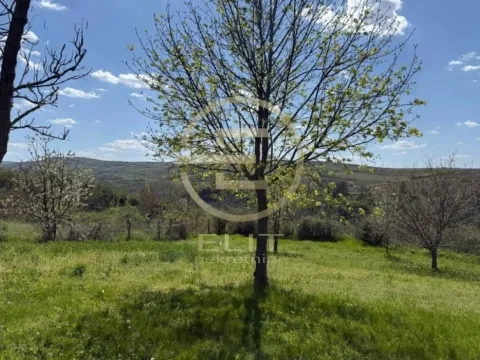 Prodaja, plac, 2106m², Banoštor, Beočin - image 8