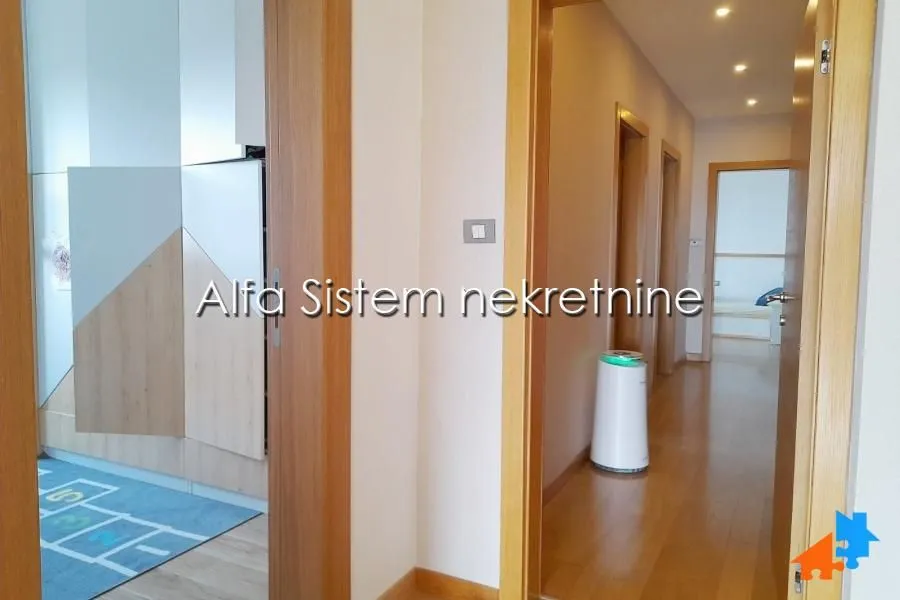 Izdavanje, stan, 200m², Novi Beograd Sve Podlokacije, Beograd