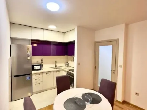 Rent, one bedroom apartment, 45m², Zagorič, Podgorica - image 3