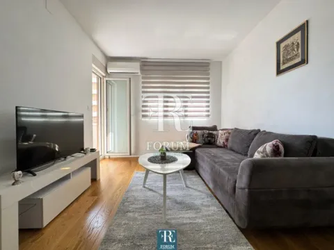 Rent, one bedroom apartment, 47m², Central Point, Podgorica - image 2