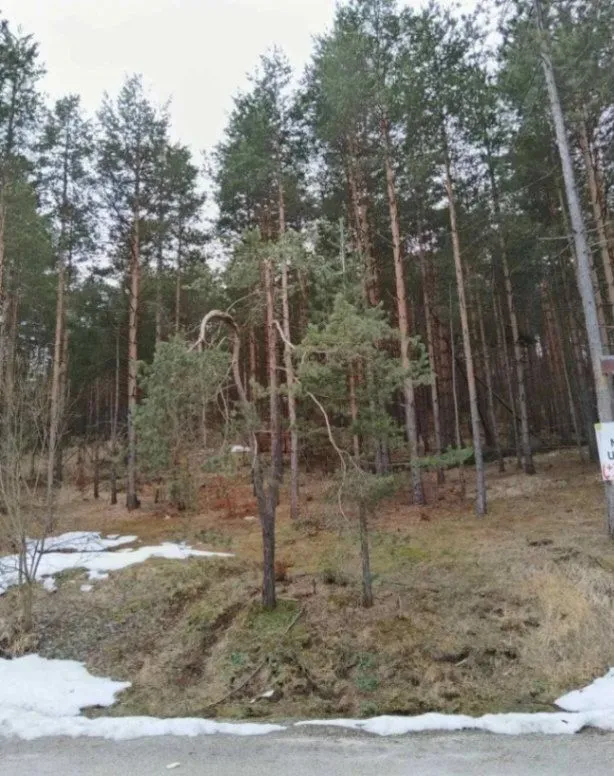 Sale, land lot, 1143m², Zlatibor, Srbija