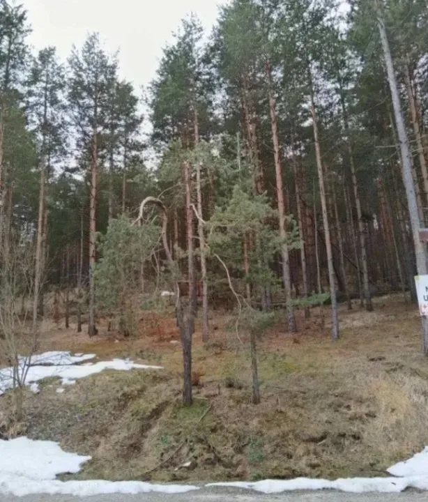 Sale, land lot, 1143m², Zlatibor, Srbija